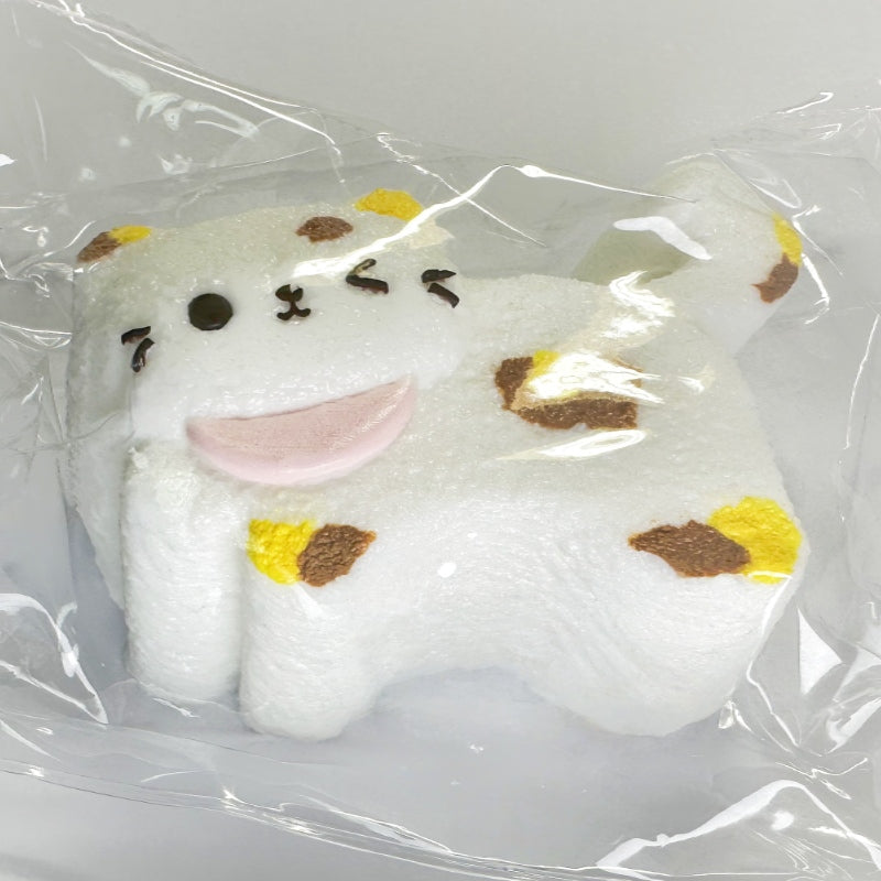 [Only One Left!] Taba Squishy: Calico Kitten